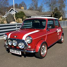 Austin Rover cooper 