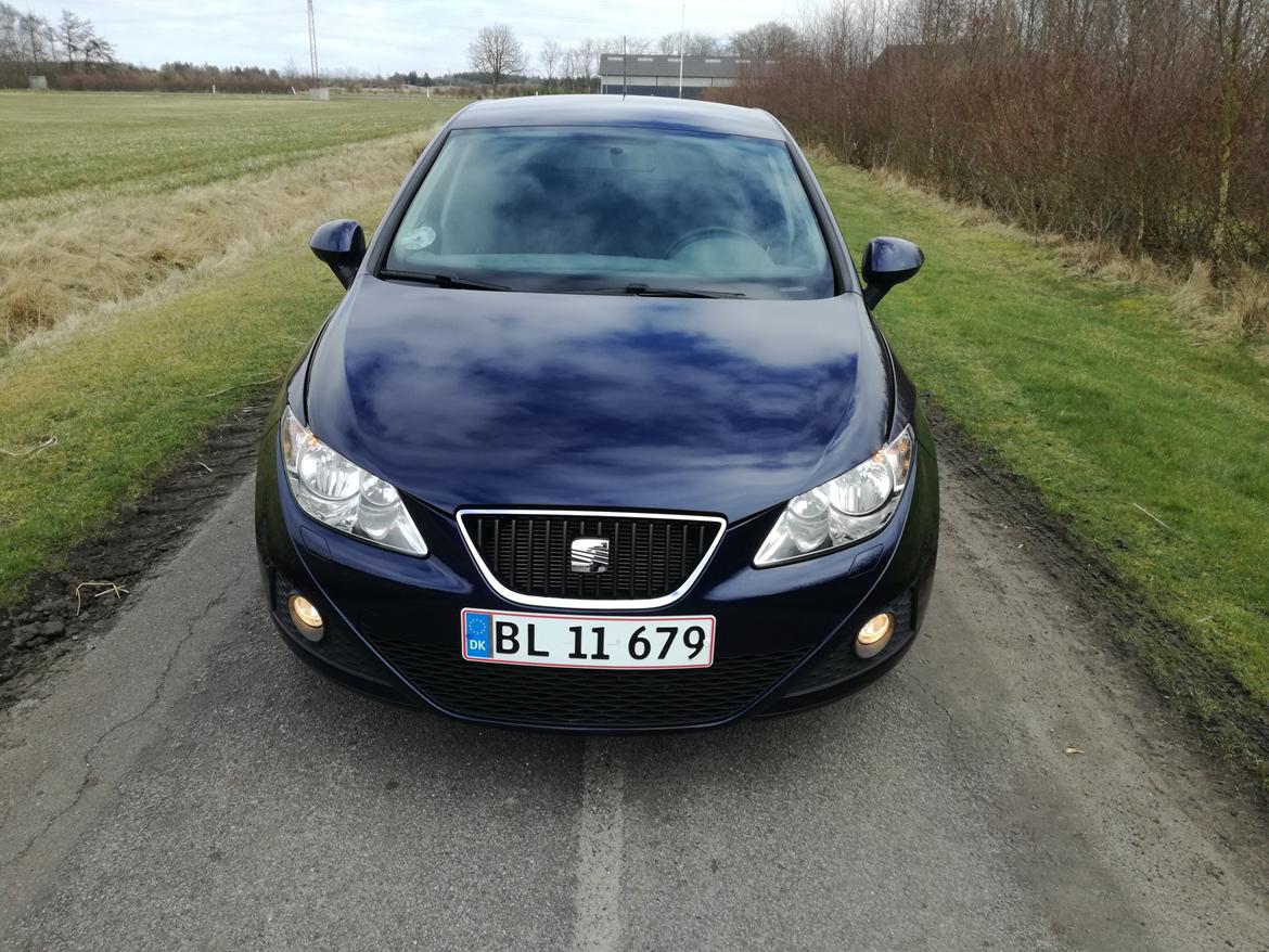 Seat Ibiza 6J  billede 1