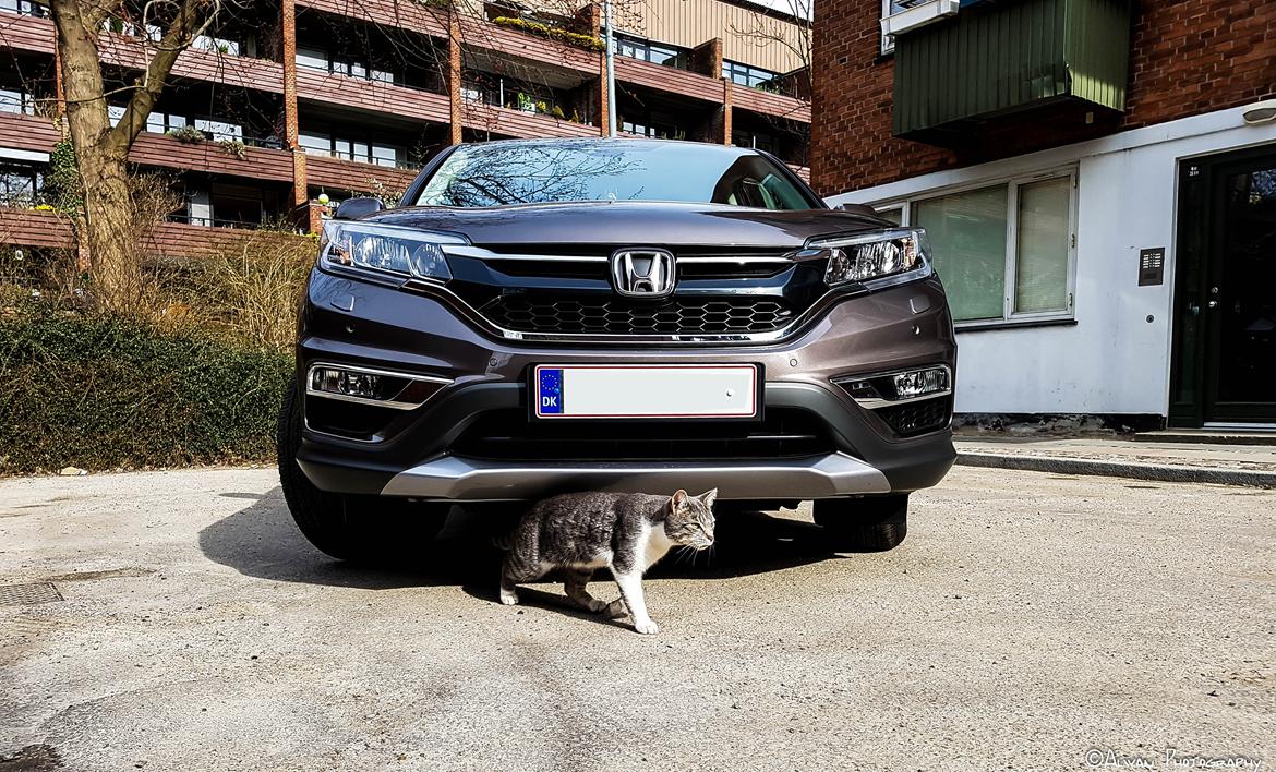 Honda CR-V 1.6 i-DTEC Elegance (Totalskadet) - Photobomb! billede 4