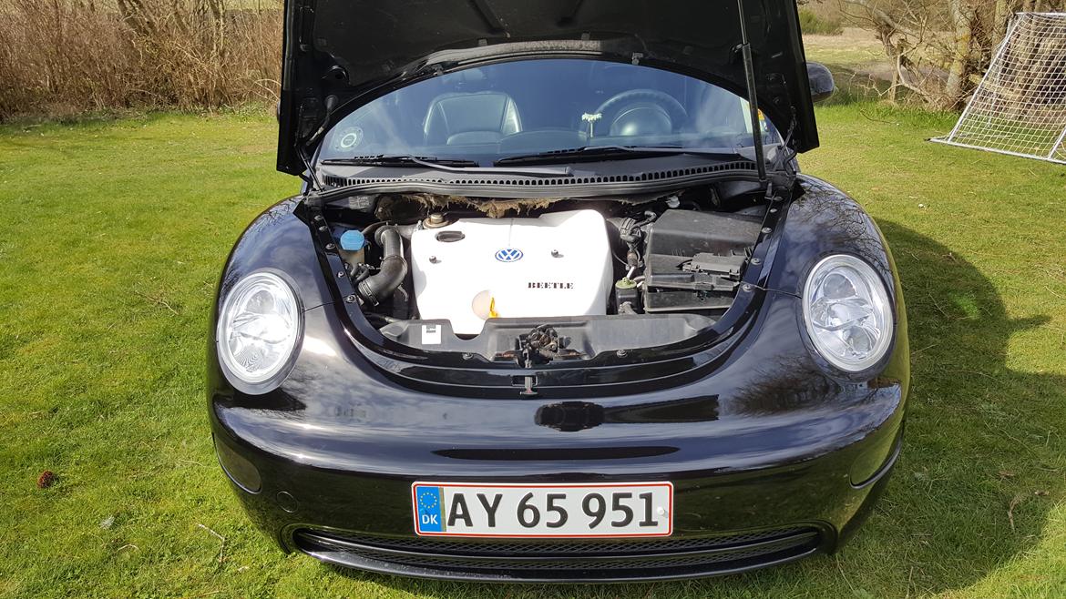 VW New Beetle Higline  Tidl bil billede 9