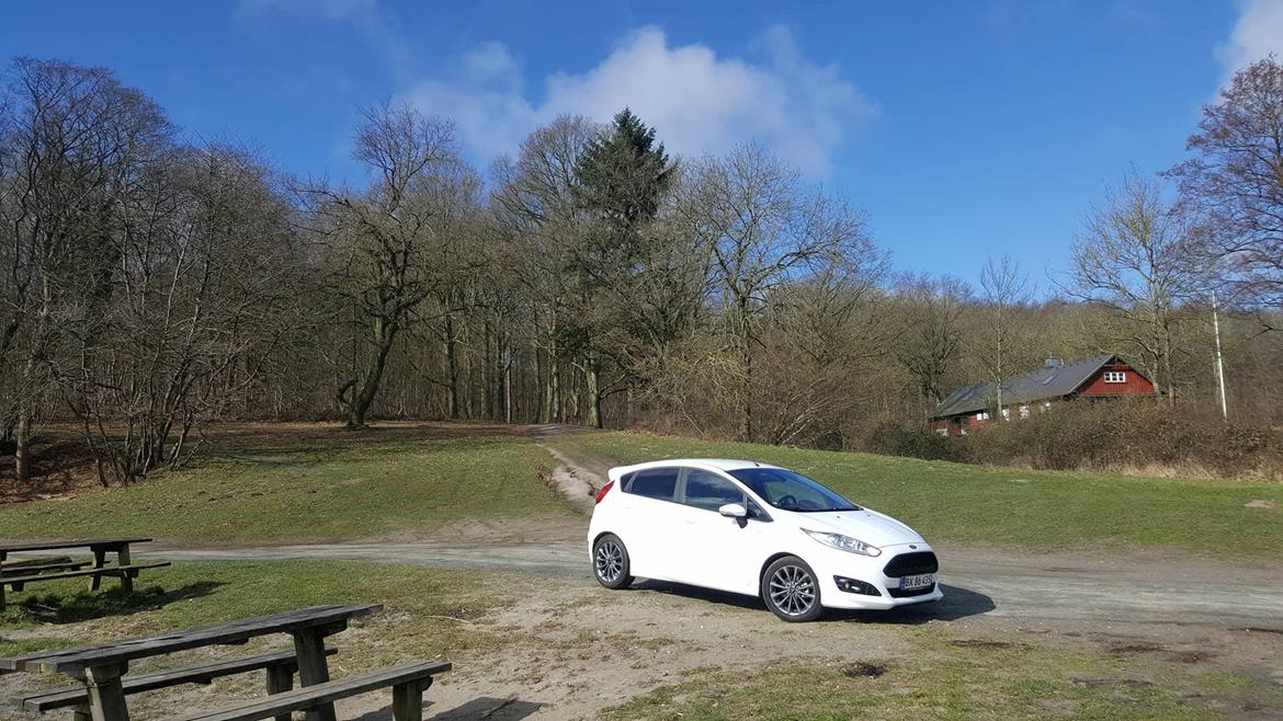 Ford Fiesta ST-line billede 4