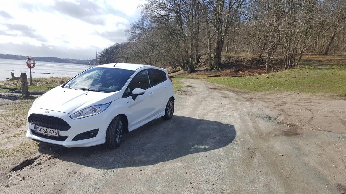 Ford Fiesta ST-line billede 1