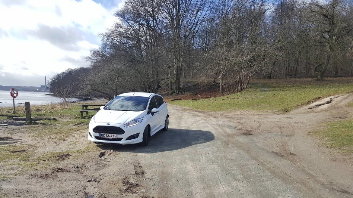 Ford Fiesta ST-line billede 5