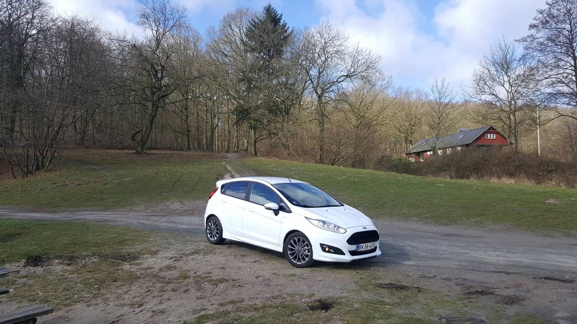Ford Fiesta ST-line billede 8