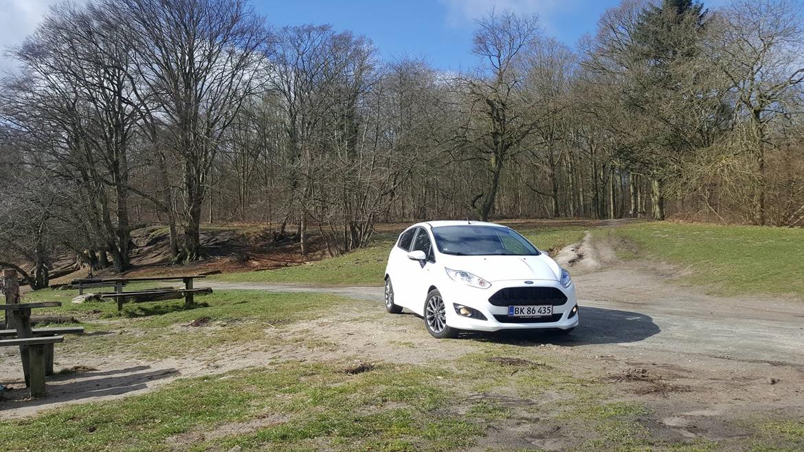 Ford Fiesta ST-line billede 9