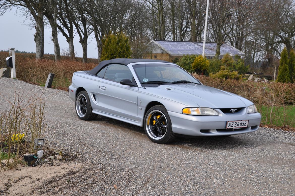 Ford Mustang billede 1