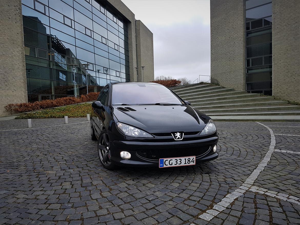 Peugeot 206 S16 Griffe  billede 13