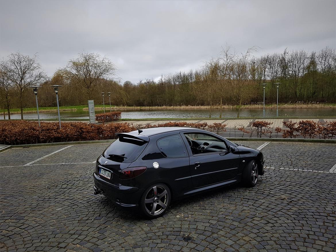 Peugeot 206 S16 Griffe  billede 5