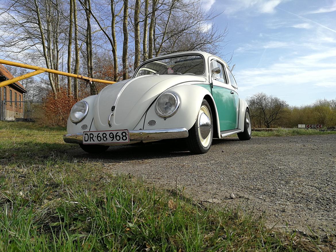 VW 113 Ragtop billede 3
