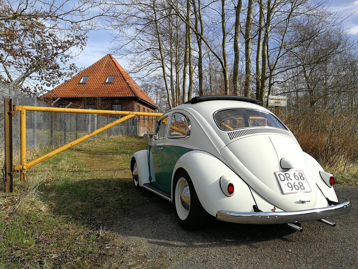 VW 113 Ragtop billede 4