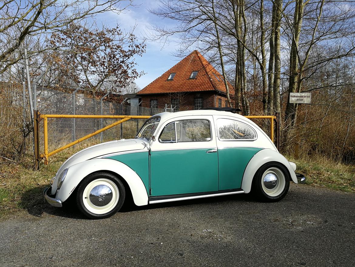 VW 113 Ragtop billede 2