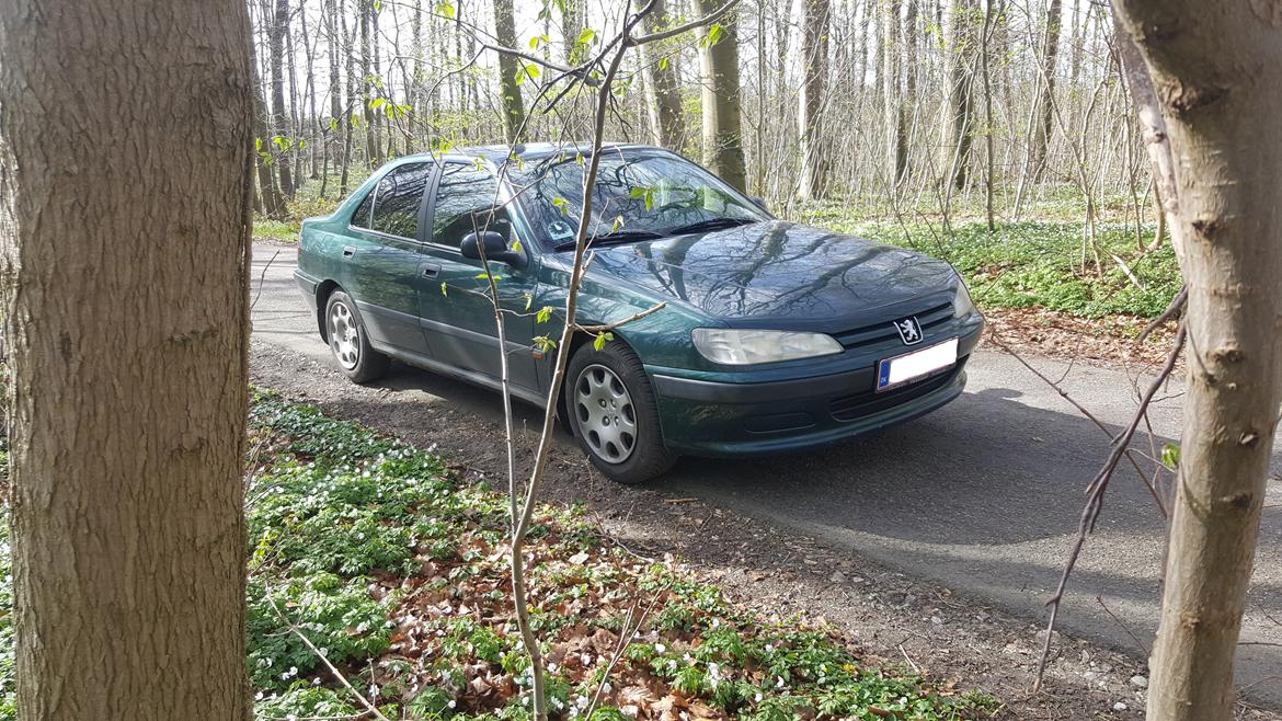 Peugeot 406 1,8 SR billede 2