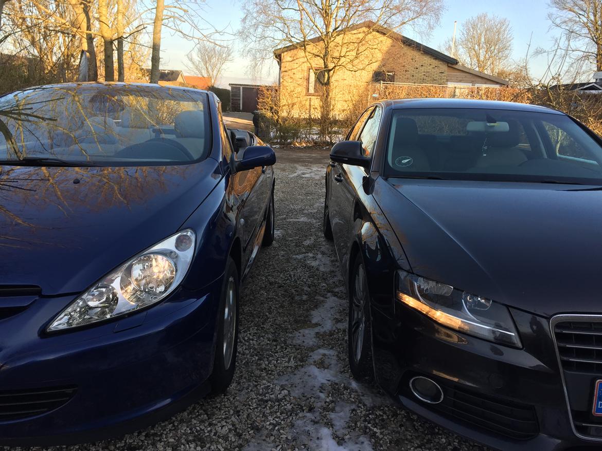Peugeot 307 cc 2,0 16v billede 7