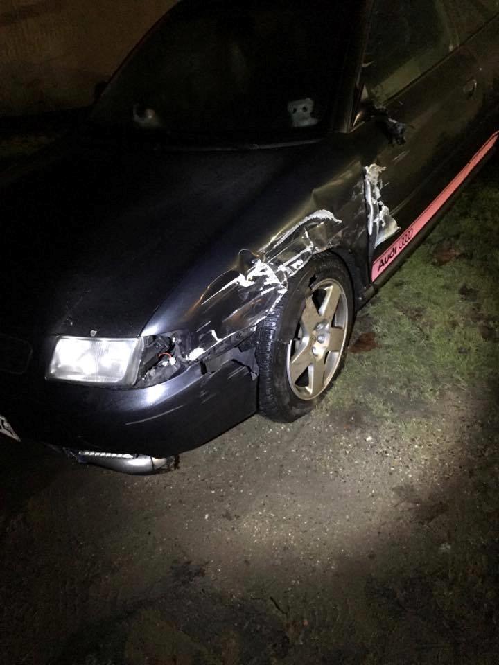 Audi A3 8L billede 11