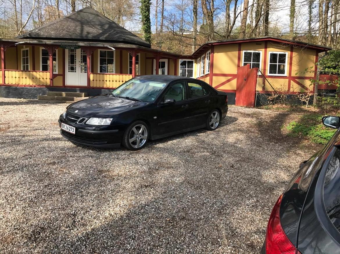 Saab 9-3 BioPower Sport  billede 14