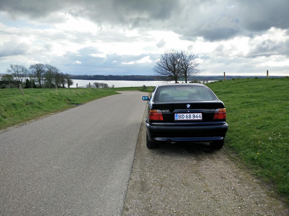 BMW E36 316I Compact billede 12