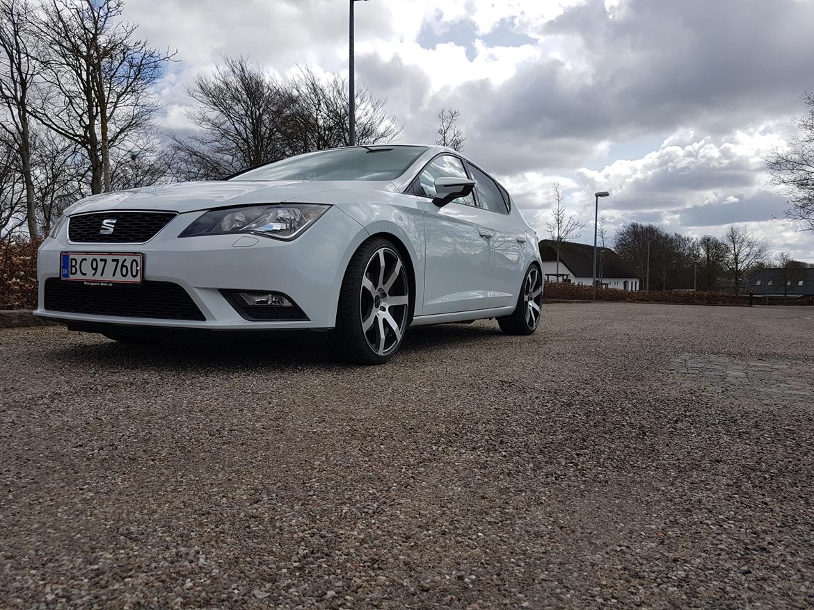 Seat Leon 5f - lige efter sænkningen  billede 5