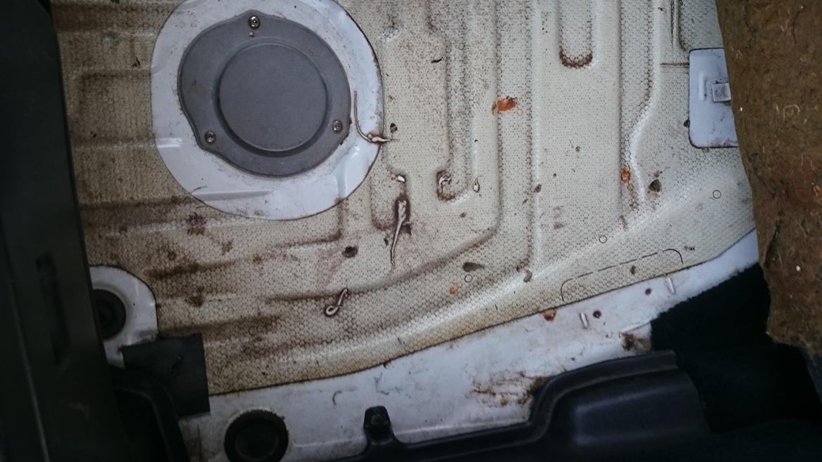 Toyota Celica Supra billede 9