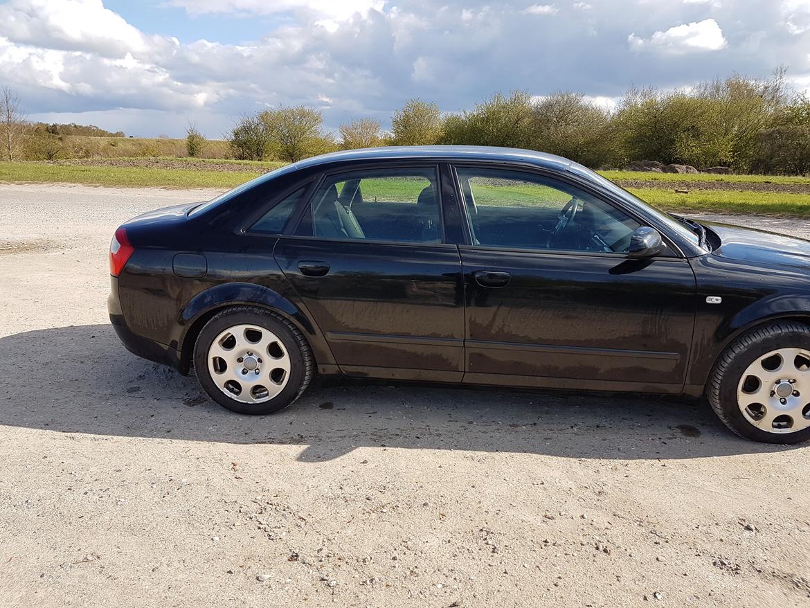 Audi A4 3,0 v6 Quattro billede 5