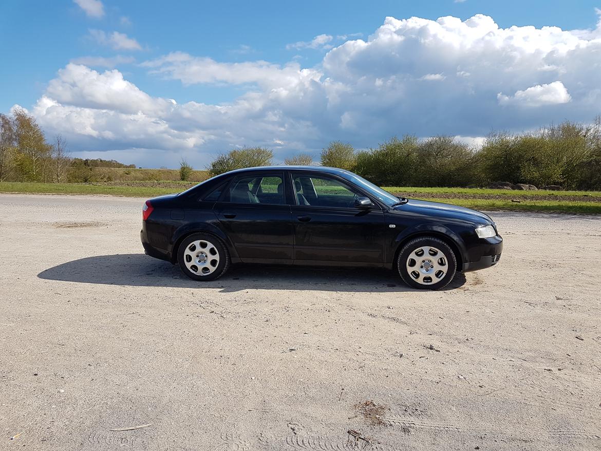 Audi A4 3,0 v6 Quattro billede 4