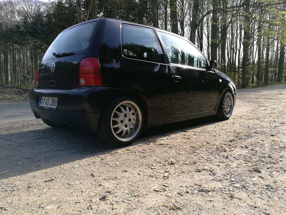 VW Lupo 3L billede 10
