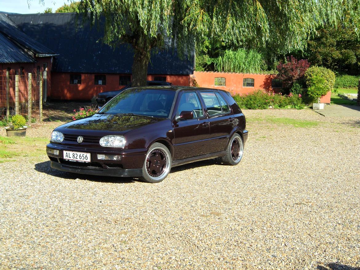 VW Golf TDI billede 1
