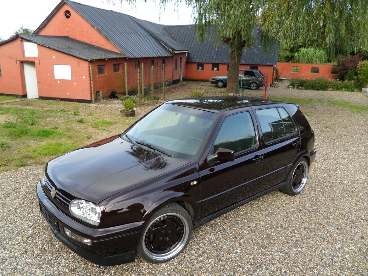 VW Golf TDI billede 11