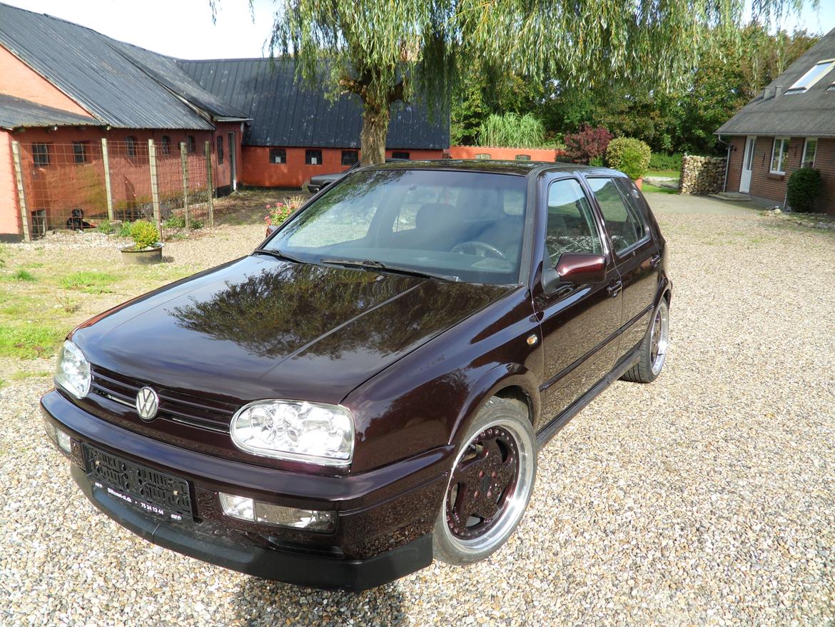 VW Golf TDI billede 13