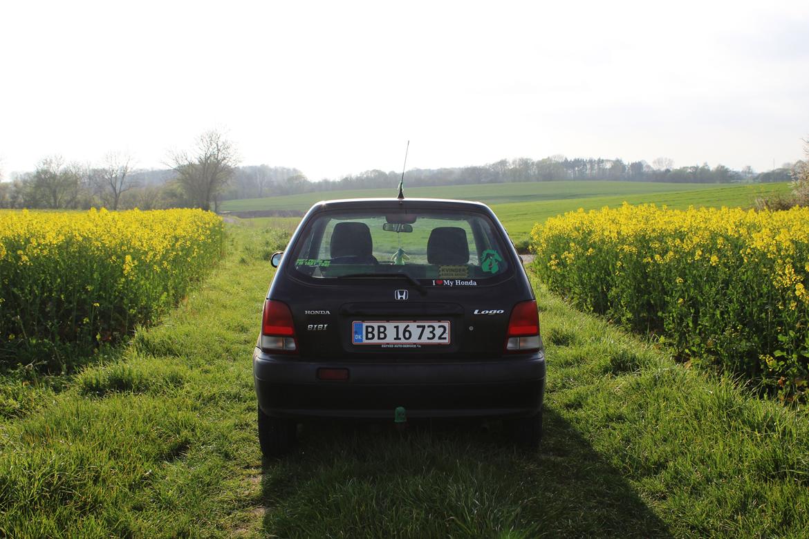 Honda Logo GA3 *Bibi* billede 20