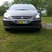 Peugeot 307 Sw/airvan udstyr (griffen).