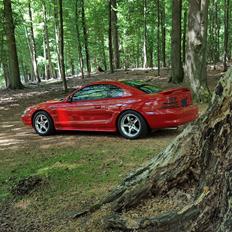 Ford Mustang SVT Cobra