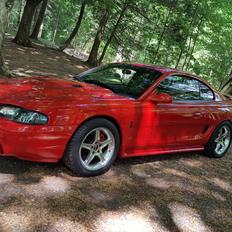 Ford Mustang SVT Cobra