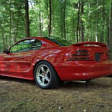 Ford Mustang SVT Cobra