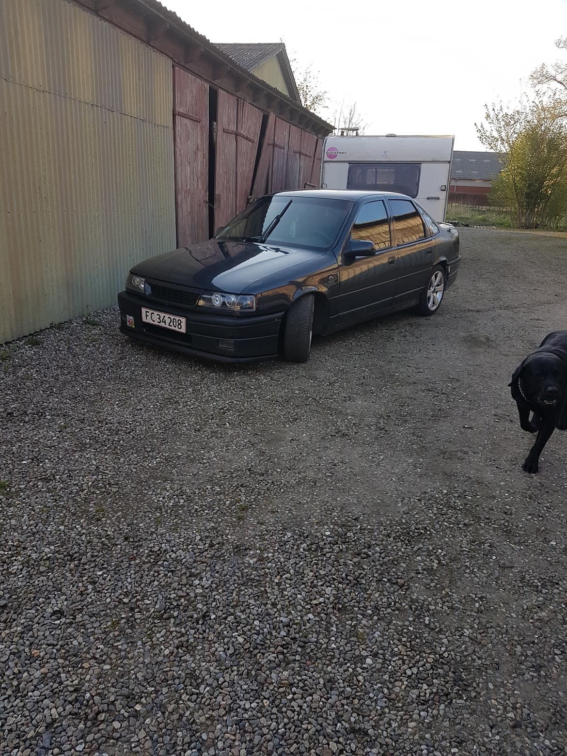 Opel Vectra a v6 24v  billede 7