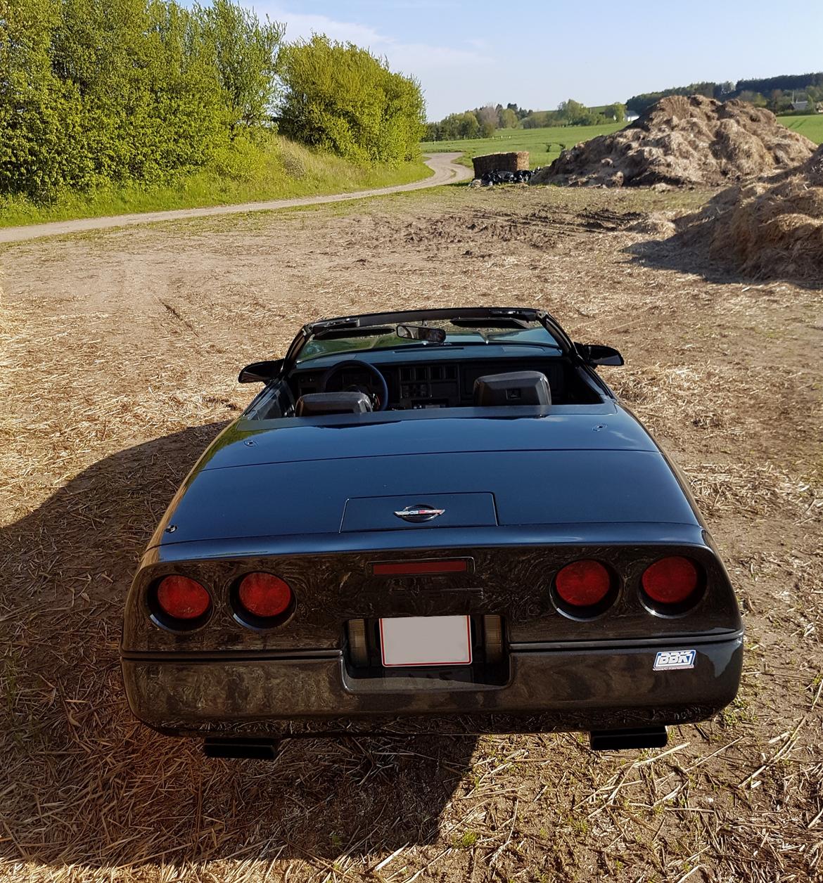 Chevrolet Corvette C4 5.7 V8 Convertible billede 7