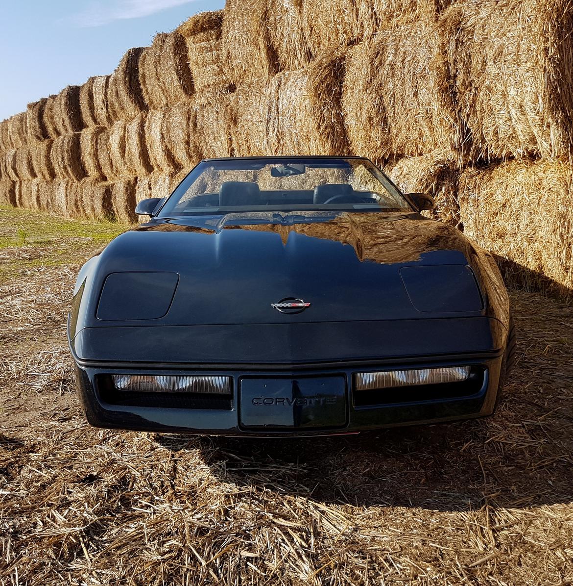 Chevrolet Corvette C4 5.7 V8 Convertible billede 11