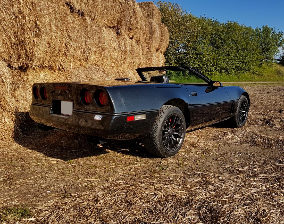 Chevrolet Corvette C4 5.7 V8 Convertible billede 3