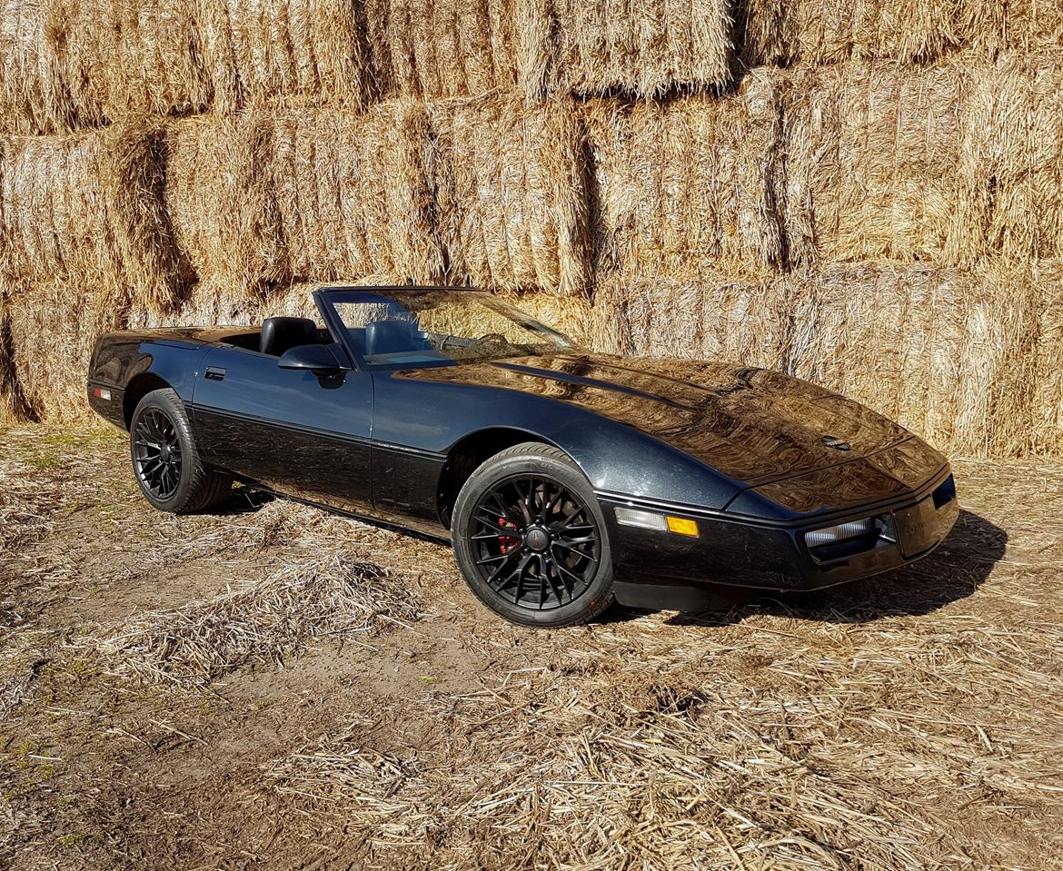 Chevrolet Corvette C4 5.7 V8 Convertible billede 4