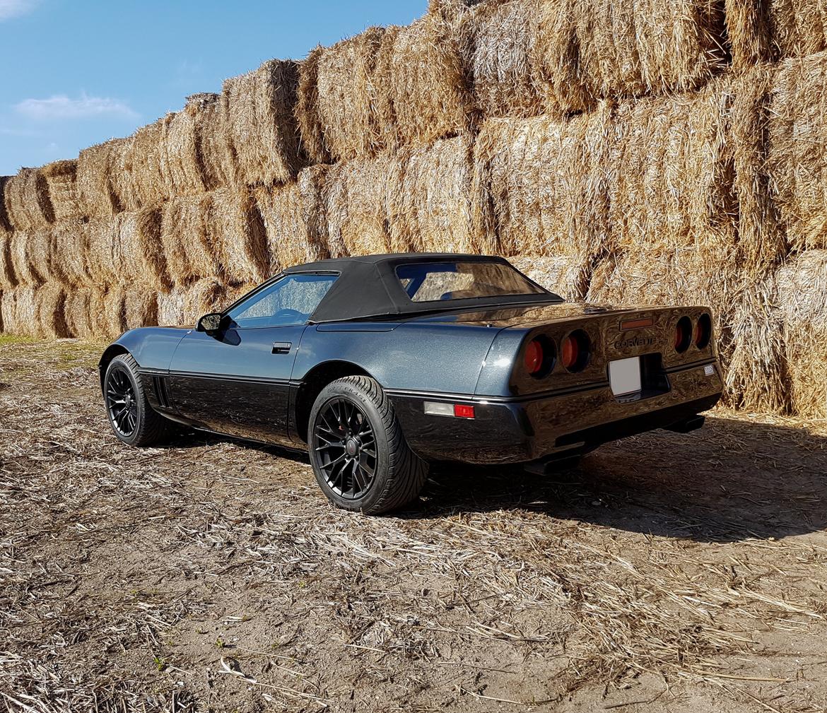 Chevrolet Corvette C4 5.7 V8 Convertible billede 16