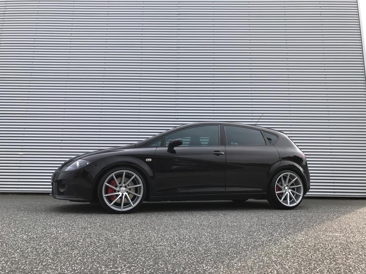 Seat Leon Cupra billede 5