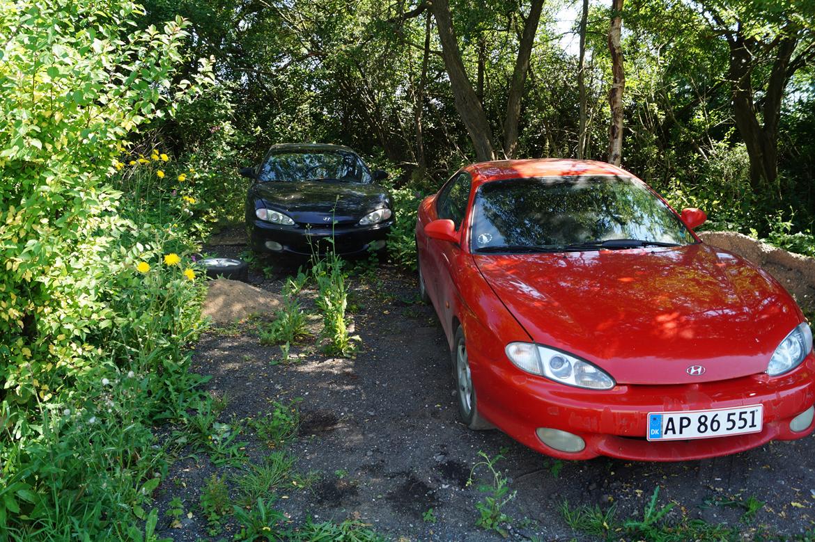 Hyundai coupe  billede 5