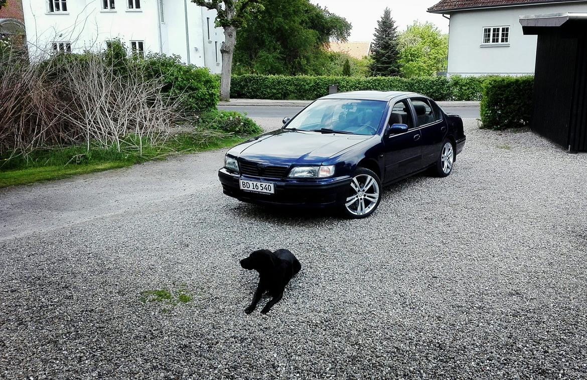 Nissan Maxima QX a32  billede 8