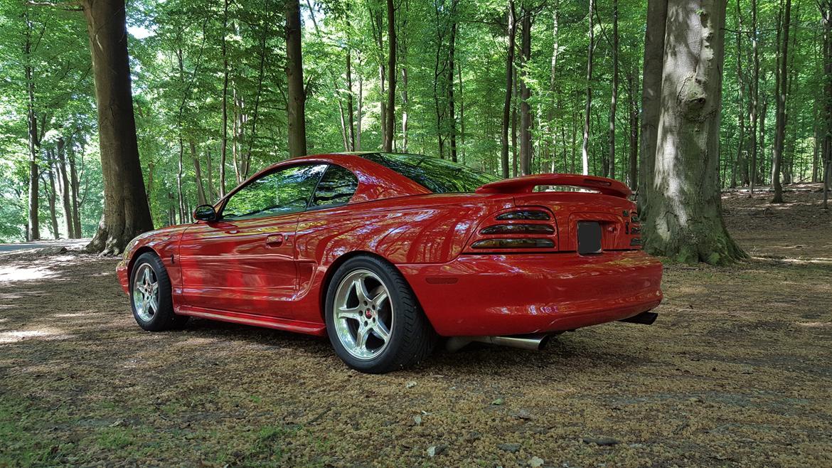 Ford Mustang SVT Cobra billede 3