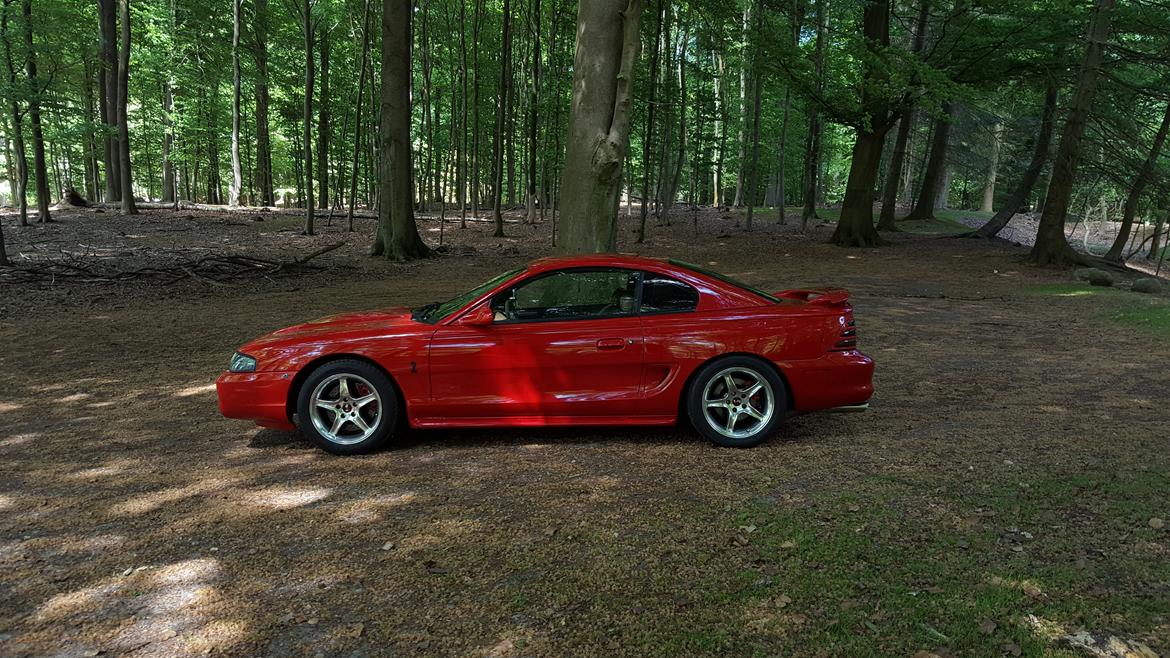 Ford Mustang SVT Cobra billede 8