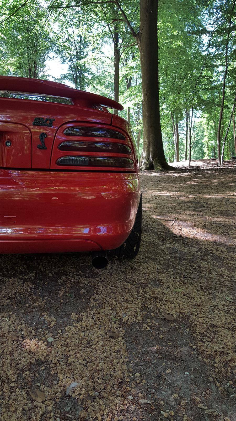 Ford Mustang SVT Cobra billede 9