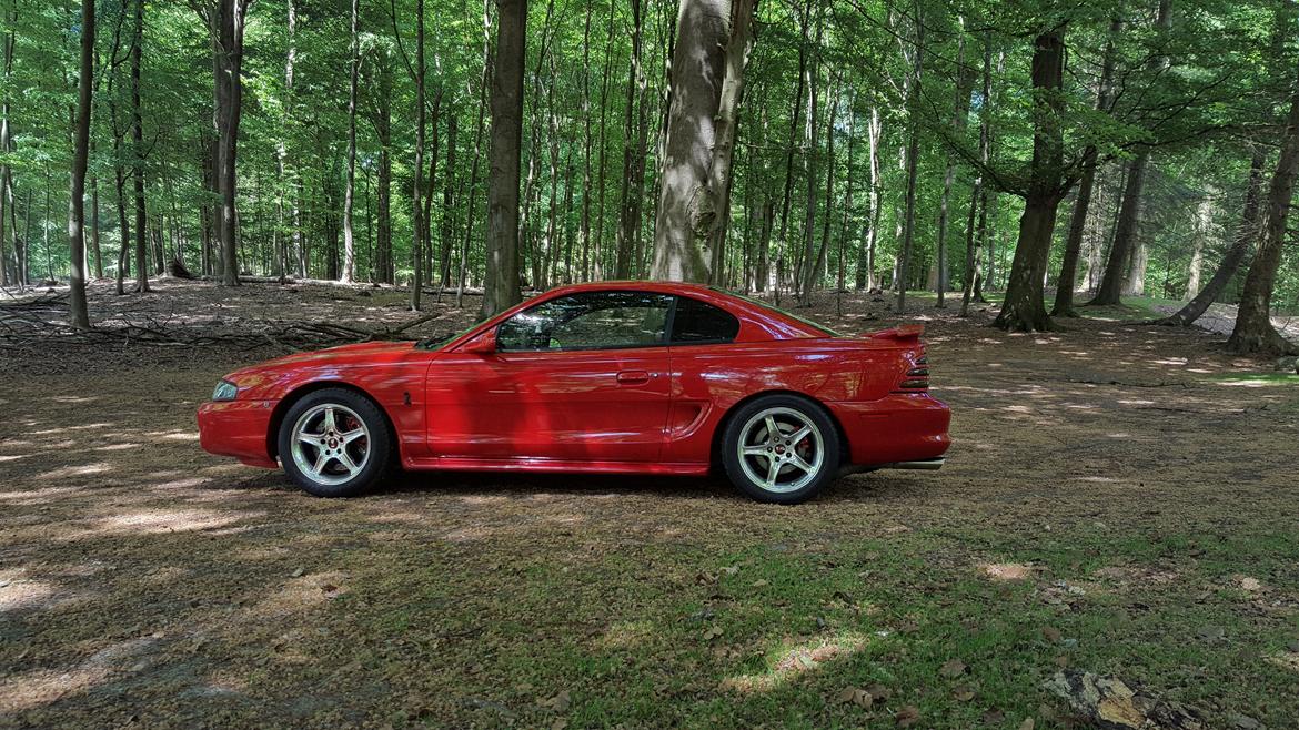 Ford Mustang SVT Cobra billede 11