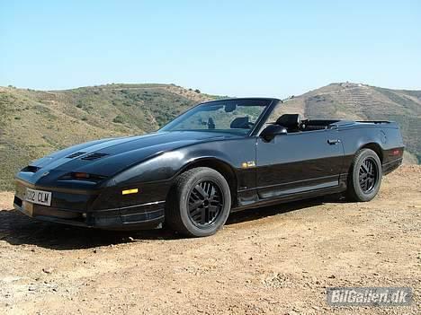 Pontiac Trans Am GTA Special E. billede 1