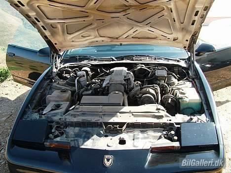 Pontiac Trans Am GTA Special E. - Ved det godt, trænger til en motorvask, men her er altså temmeligt støvet her i Malaga. billede 2