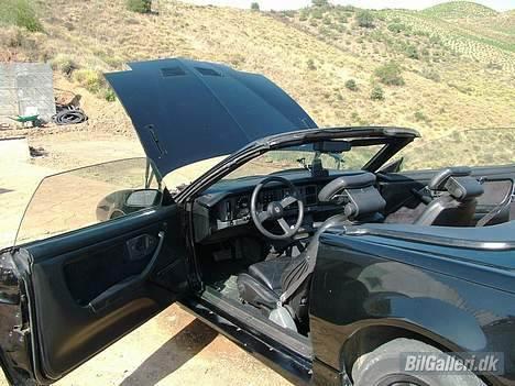 Pontiac Trans Am GTA Special E. billede 3