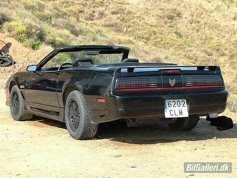 Pontiac Trans Am GTA Special E. billede 6